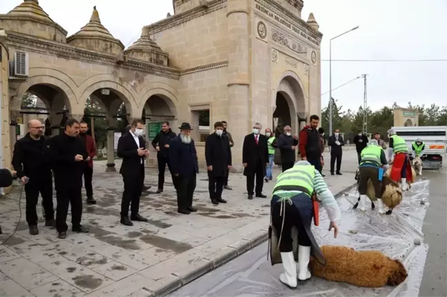 Erzincan'da Korona virüs salgınının bitmesi için kurbanlar kesildi, dualar edildi