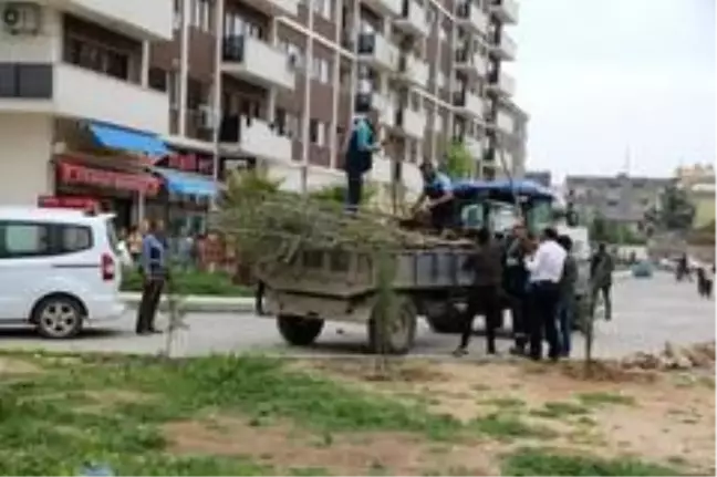 Cizre'de yeşillendirme çalışmaları devam ediyor