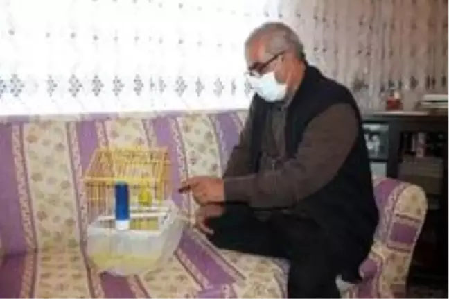 Muhabbet kuşundan vatandaşlara 'evde kal Türkiye' çağrısı