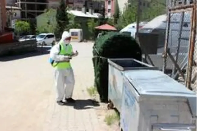 Uludere Belediyesi ilaçlama çalışmalarına başladı