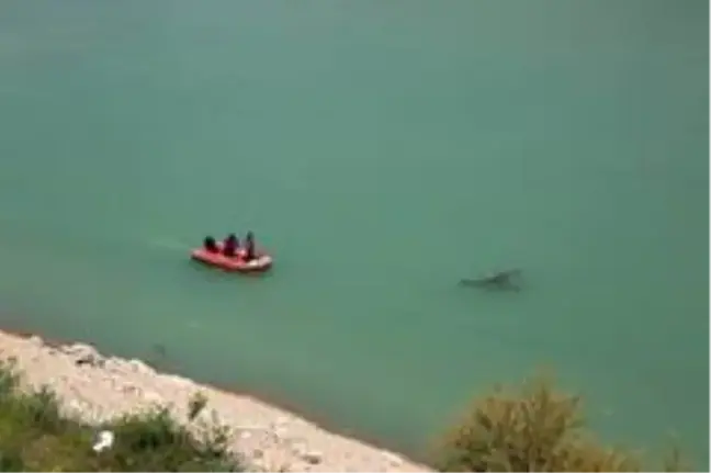 Kayıp Gülistan'ı arama çalışmaları