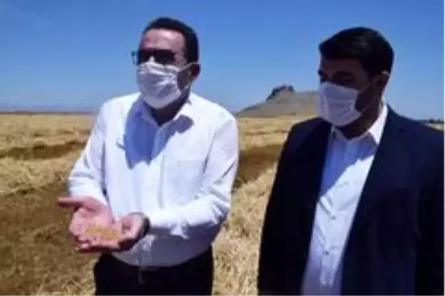 AK Parti'li Doğru: