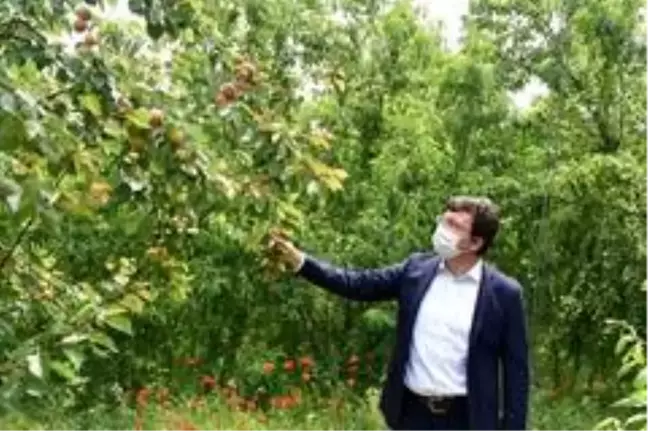 Dışarda Kaymakam, içerde öğrenci