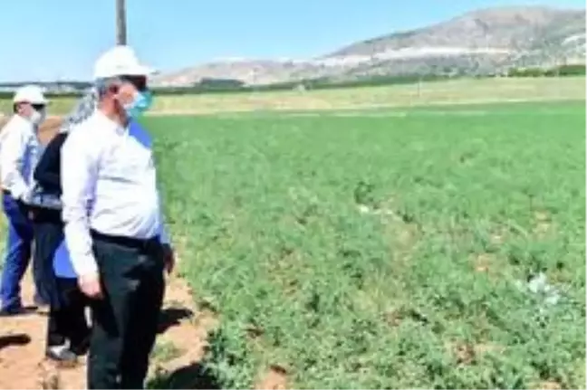 Yeşilyurt'ta tarımsal üretim ve Ar-Ge sahası kuruldu