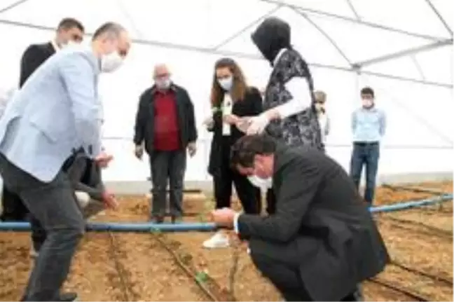 Hüyük'te seracılık gelişiyor