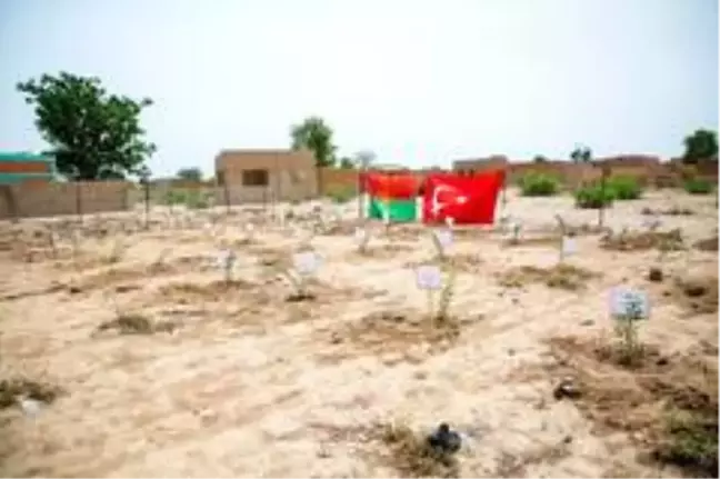 İDDEF'ten Afrika'da fidan seferberliği