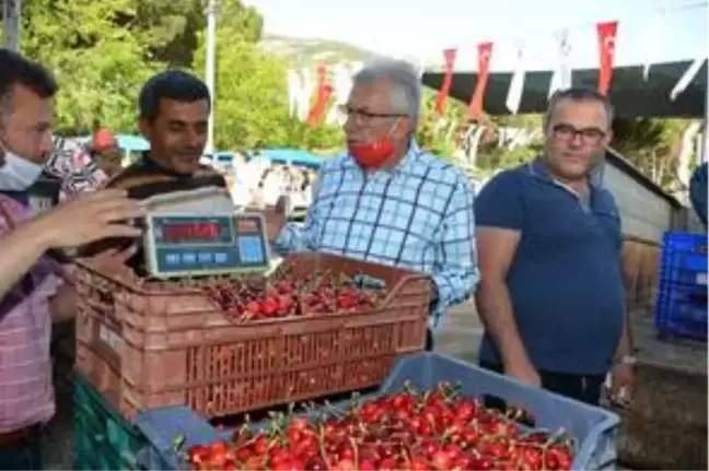 Mendegüme Toptan Erik ve Kiraz Pazarı açıldı