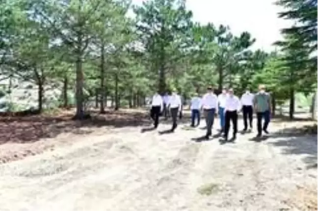Yeşilyurt'ta gençlik kampı kuruyor