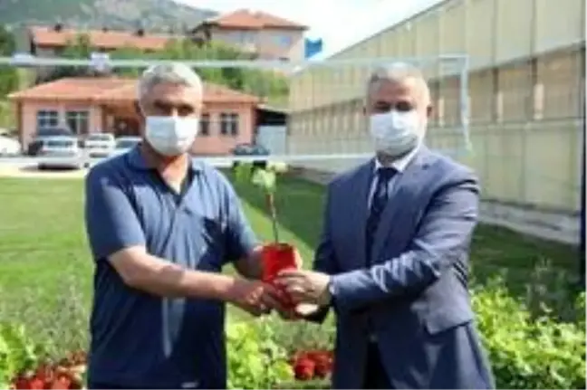 Tokat'ta 13 bin tüplü asma fidanı üretici ile buluştu
