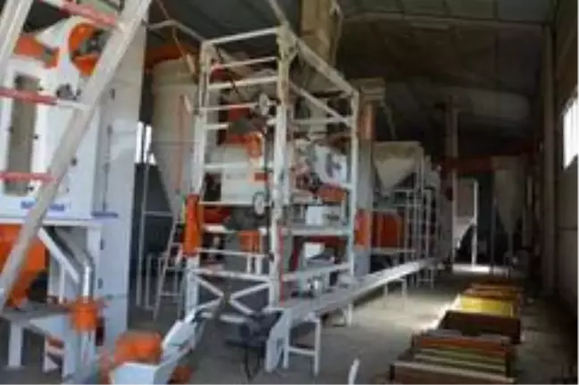 Akyurt'ta tohum eleme tesisi sezona hazır