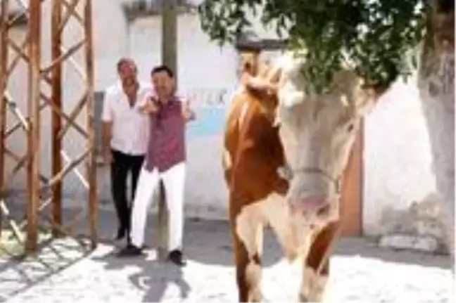 TRT 1'den Bayrama Özel Film