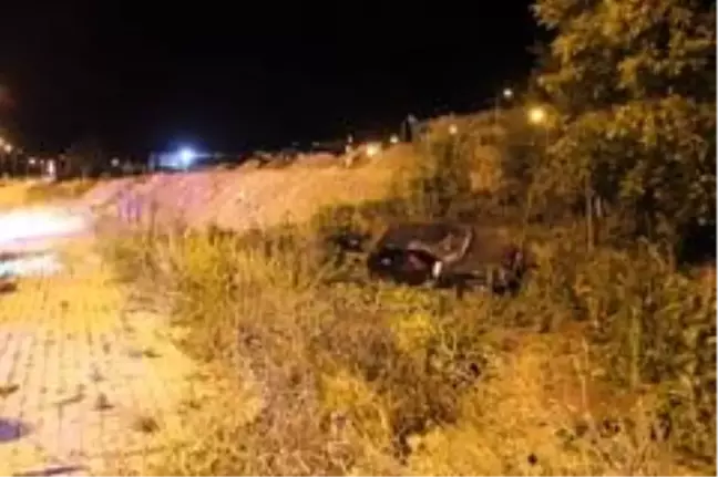 Kediye çarpmamak için kaza yaptı: 2 yaralı