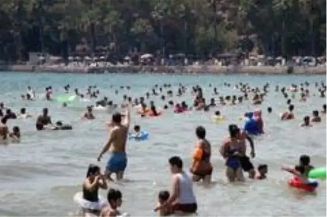 Denizde yüzecek yer kalmayınca Azmak'ta yüzdüler
