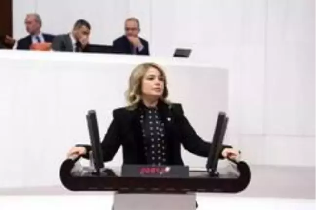 AK Parti'li vekilden CHP'li vekile havaalanı cevabı