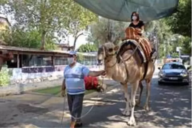 Düden Şelalesi'ndeki develer turistlerin ilgi odağı oldu! 100 metrelik tur 20 TL, fotoğraf çektirmek 10 TL