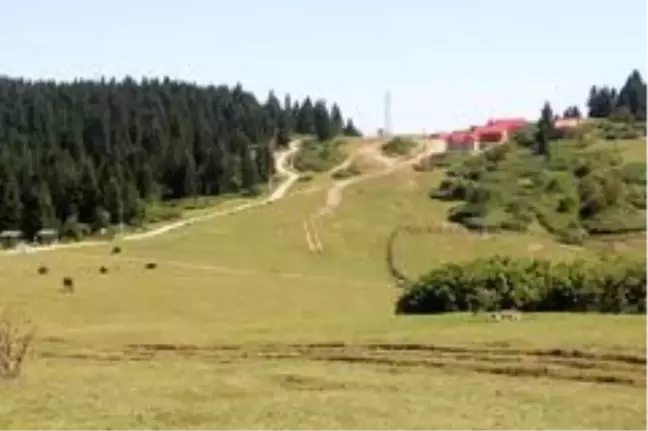 Yaylada mahalle kültürü konsepti oluşturuluyor