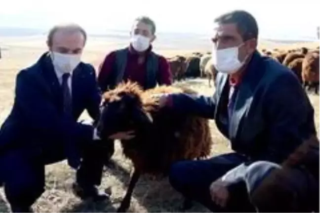 Vali Cüneyt Epcim: