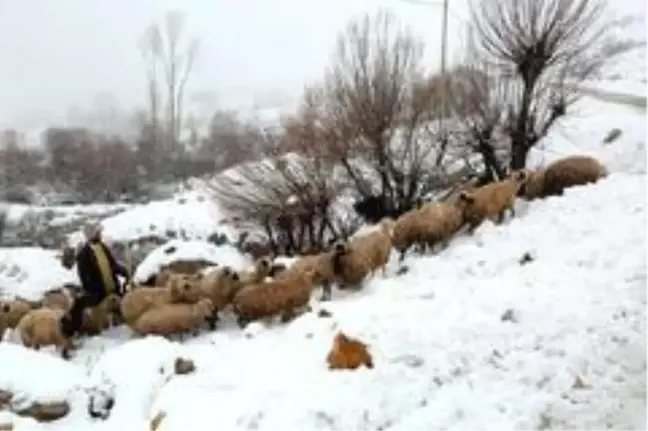 Bayburt'un yüksek kesimlerine kar yağdı