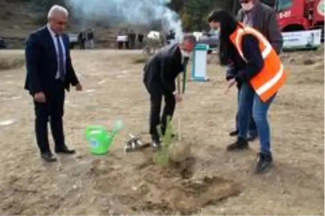 Tosya'da bin adet fidan toprakla buluştu
