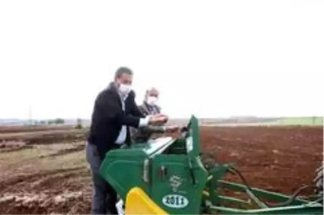 Büyükşehir sertifikalı tohum üretimine devam ediyor
