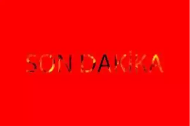 Fransız Senatosu'ndan skandal karar