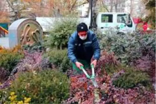 Çankaya Belediyesi Kuğulu Park'ı rengarenk çiçeklerle süsledi