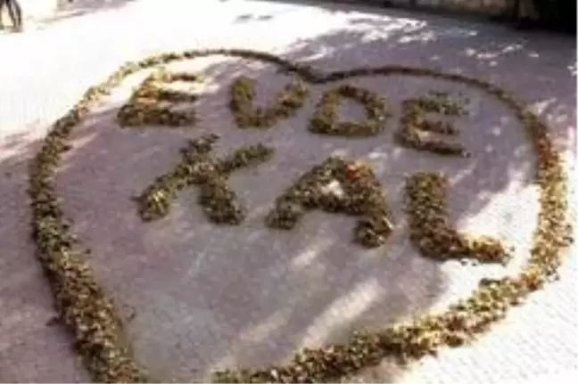 Sonbahar yapraklarıyla 'Evde Kal' yazdılar