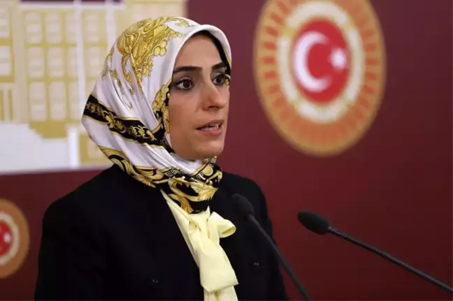 Doğalgaz müjdesi verdi