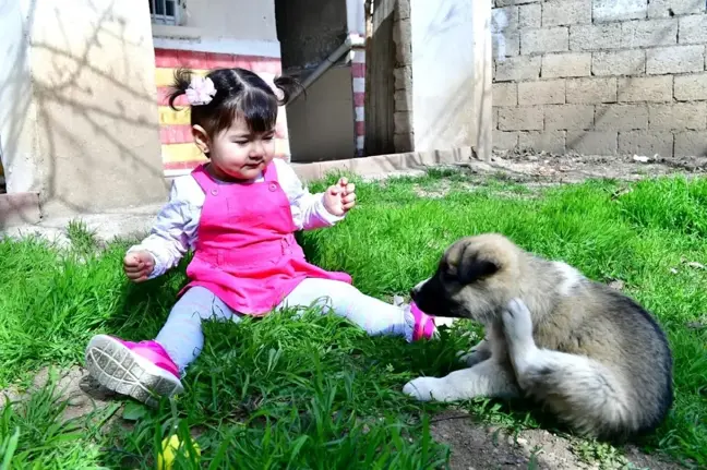 Minik Nisa'ya köpek hediyesi