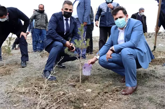 Çat'ta Yavi Şehitleri için 33 fidan dikildi