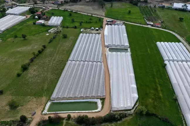 Kaş Ahatlı'da 5 kilometrelik yol çalışması