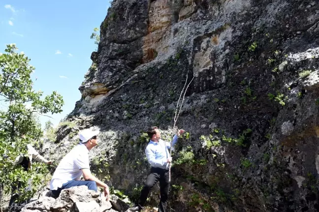 Vali Çuhadar, Adıyaman'daki tarihi alanları inceledi