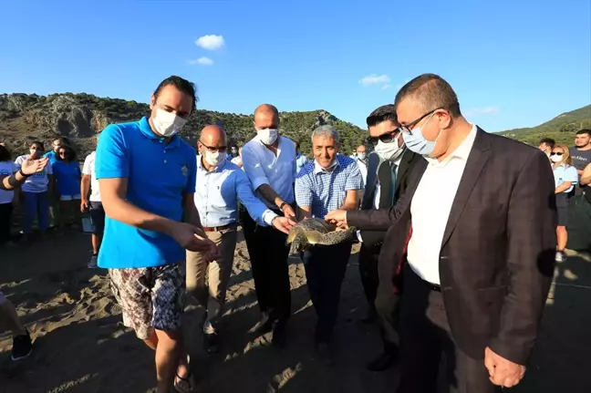 'Dünya Deniz Kaplumbağaları Günü'nde Denize Bırakıldılar