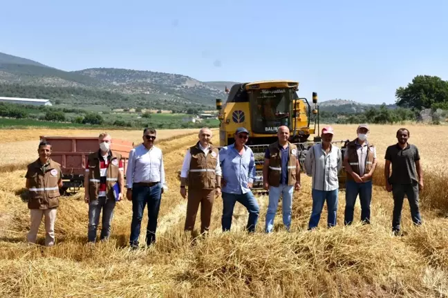 Manisa'da hububat hasadı devam ediyor