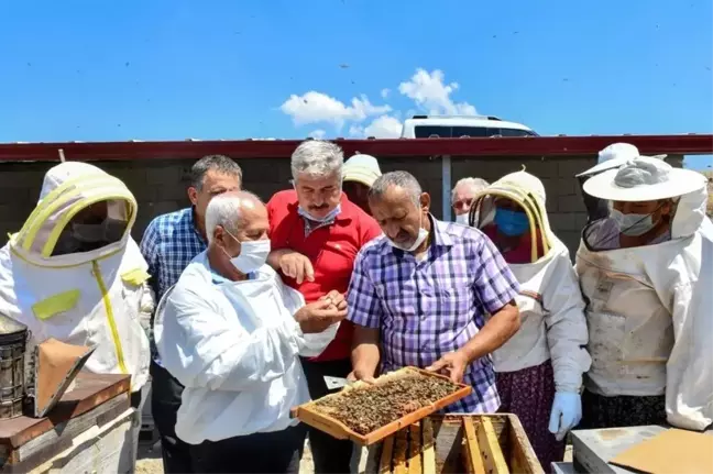 Türkiye Arı Yetiştiricileri Merkez Birliği Başkanı Şahin; 