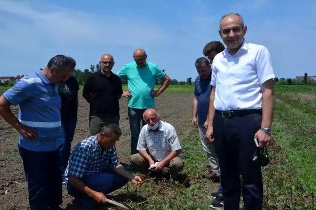 Trabzon'dan 19 Mayıs salebini incelemeye geldiler