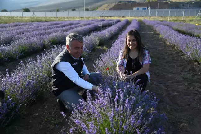 İl Tarım ve Orman Müdürü Şahin'den lavanta üreticisi kadın çiftçiye ziyaret