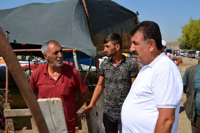TUDKİYEB Başkanı Çelik: