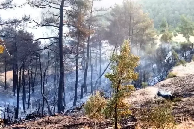 Vatandaş desteğiyle yangın kontrol altına alındı