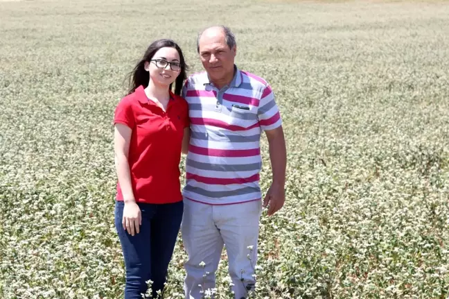 Baba kız el ele verdi, 'karabuğday' yetiştiriciliğinde ilk sıralarda yer aldı