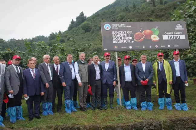 TMO Genel Müdürü Ahmet Güldal Trabzon'da fındık hasat şenliğine katıldı Açıklaması