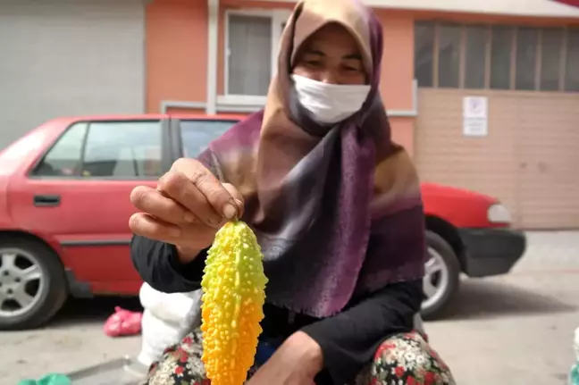 Şifalı olmasından etkilendi 'kudret narı' yetiştirmeye başladı