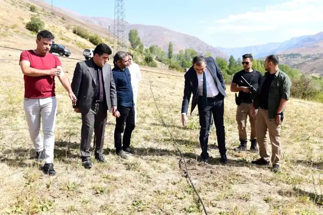 Çatak'ta kapama ceviz bahçeleri kuruluyor