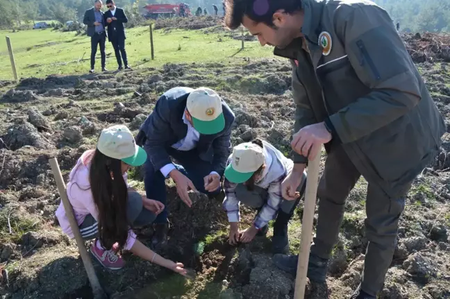 Sındırgı'da 86 bin fidan toprakla buluşuyor