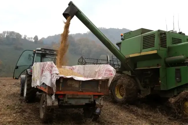 Ordu'da atıl araziler tarıma açılıyor
