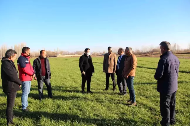 Karakoyunlu'da tarla günü düzenlendi