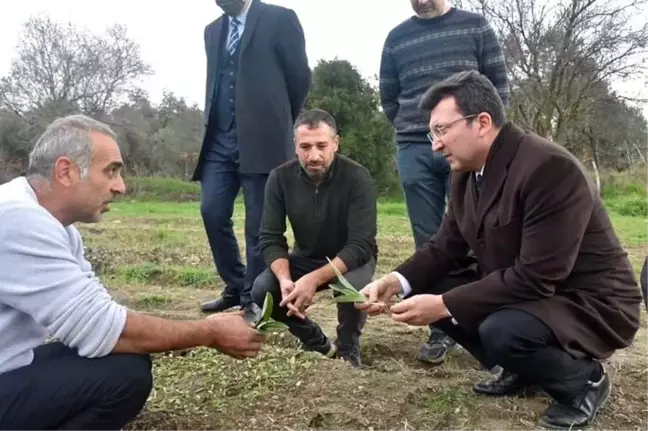Kaymakam Şahin,