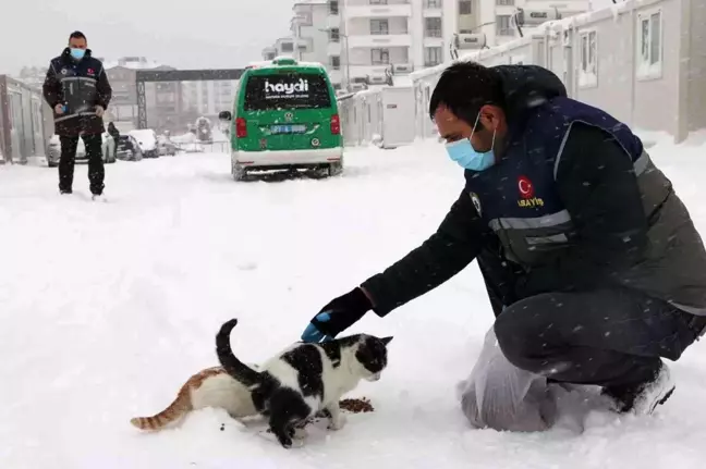 Elazığ'da 'HAYDİ' polisleri sokak hayvanlarını mamayla besledi