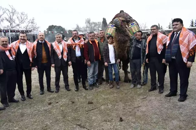 Son dakika... Havran'da 6. Geleneksel Folklorik Deve Gösterisi yapıldı