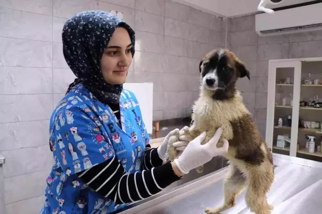 Bolu'daki görüntülere Başkan Özlü duyarsız kalmadı